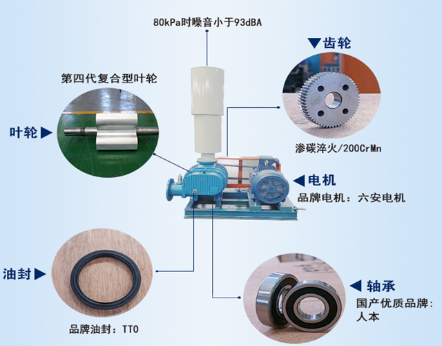 羅茨鼓風(fēng)機(jī)結(jié)構(gòu)說明展示